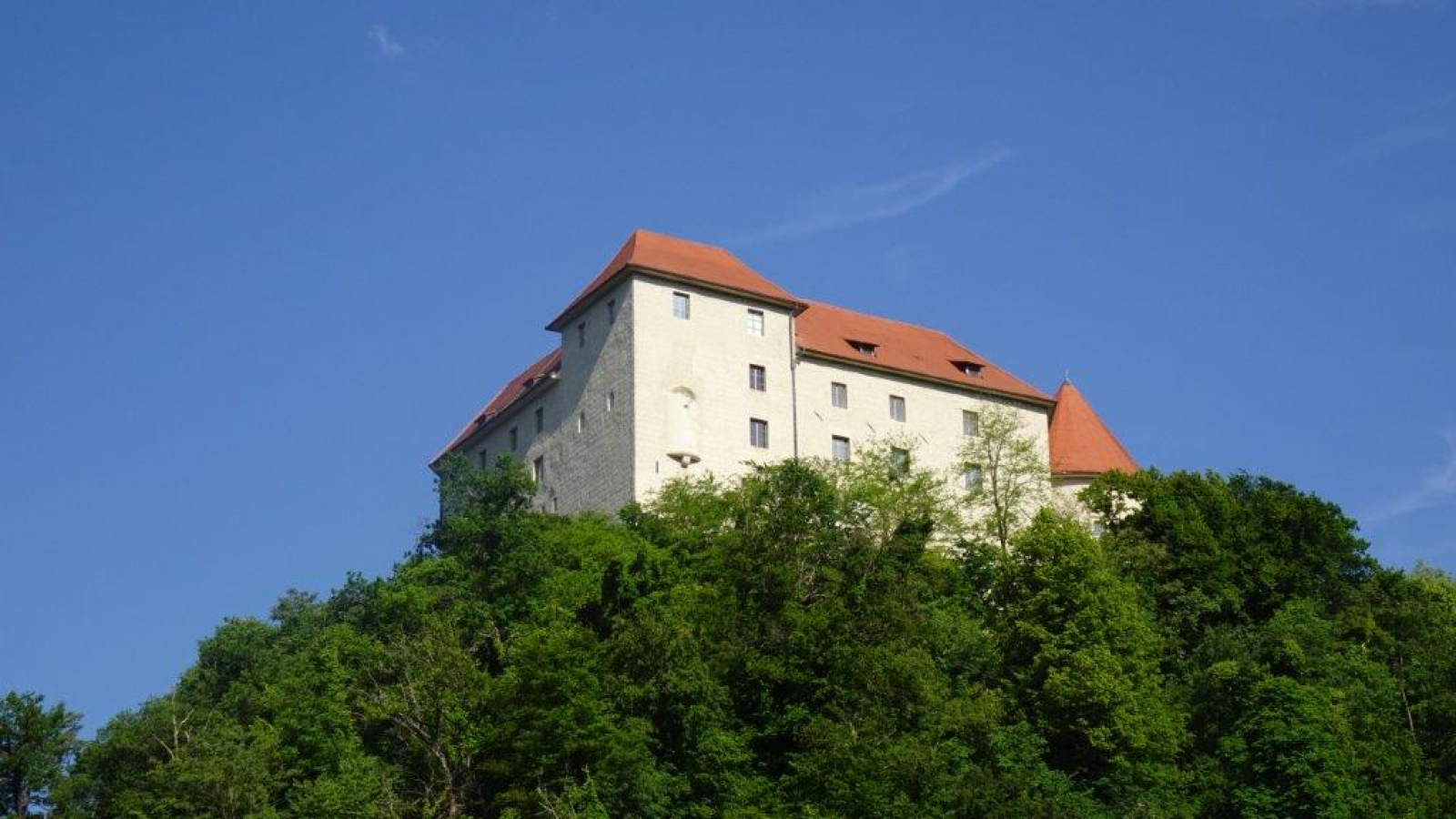 DSC06439