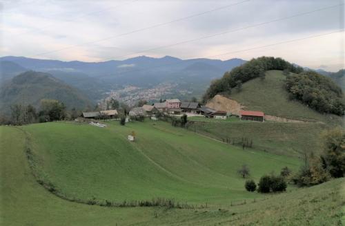 NV Zelena trava, 10.10 (31)~1