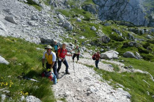 Grintovec, 24.7 (56)~1