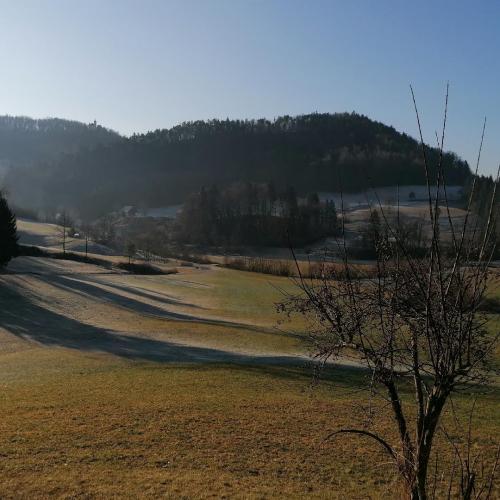 Gradisko-j.-in-Sv.-Mohor-15.1-141