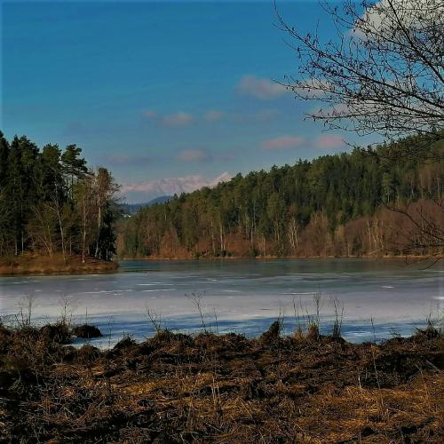Gradisko-j.-in-Sv.-Mohor-15.1-451
