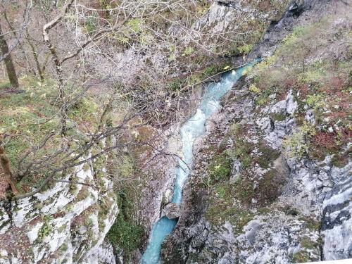 Pot-spomina-Krnsko-jezero-2022-161