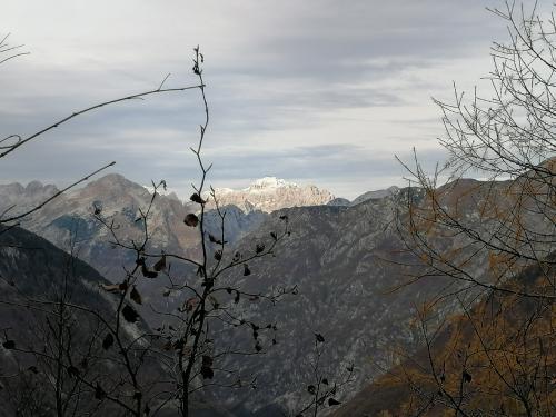 Pot-spomina-Krnsko-jezero-2022-181