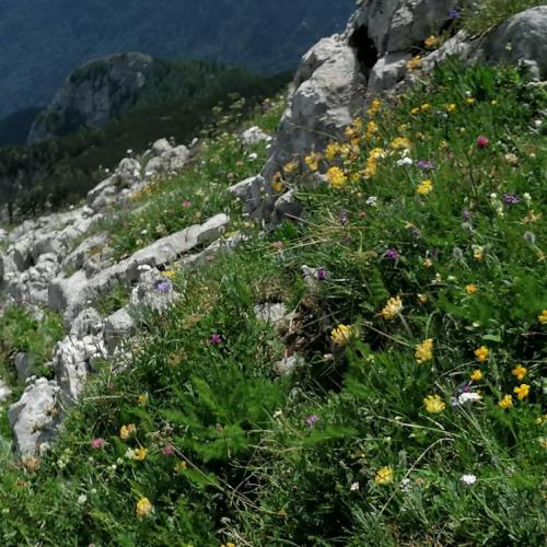 IMG 20220702 1332411