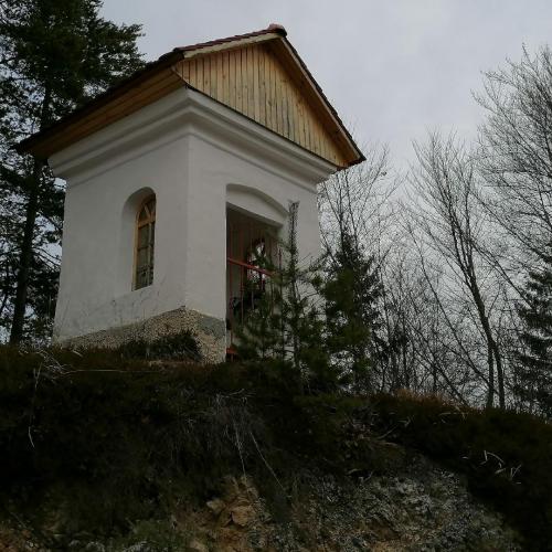 IMG 20220129 0940551