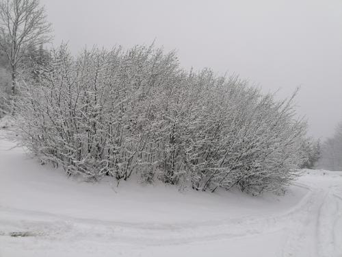IMG 20221218 0947051