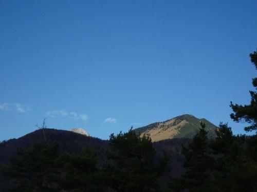 DSC093251