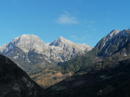 IMG 20221106 1005271