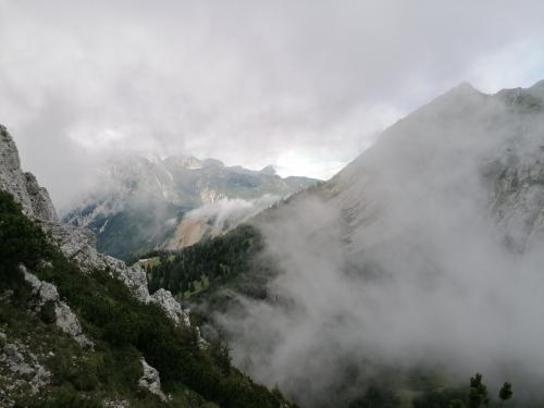 IMG 20230802 1045061