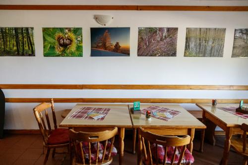 IMG 61751