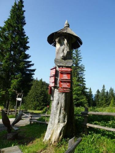 DSC025251