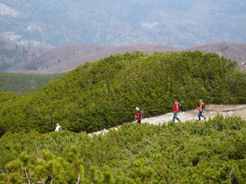 DSC018741