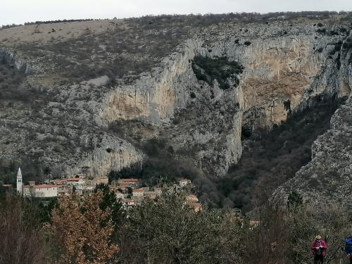Socerb-Debeli-rtic-21.1-15
