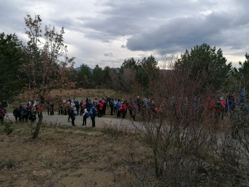 Socerb-Debeli-rtic-21.1-16