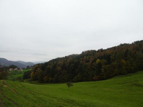 DSC088591