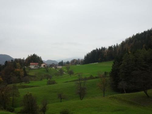 DSC088601