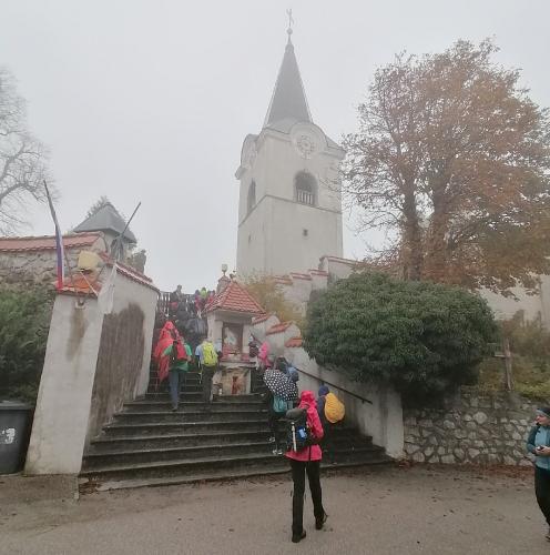 IMG 20241019 1101431