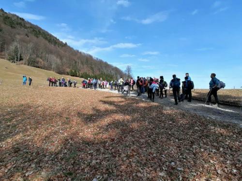 IMG 20240217 1026411