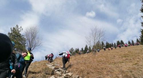 IMG 20240217 1118251