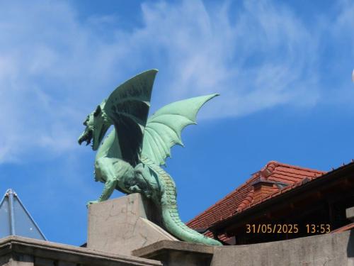 IMG 0231-21