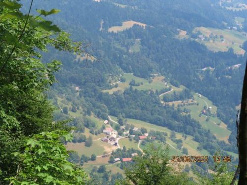 IMG 09351