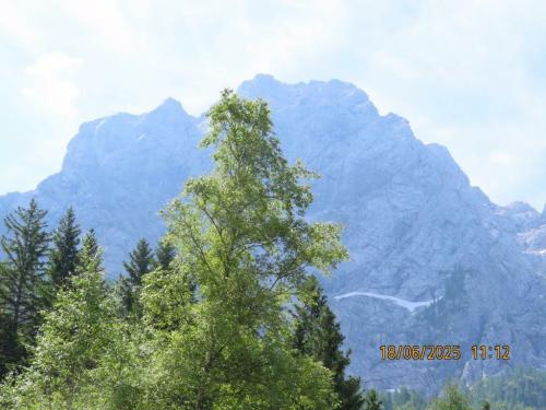 IMG 06881