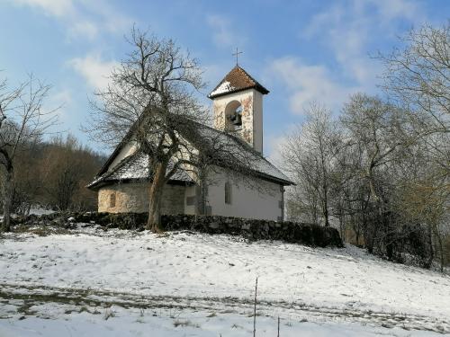 IMG 20250222 0953351