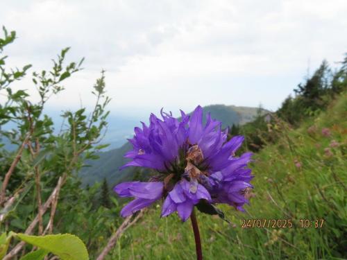 IMG 00751