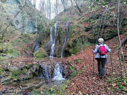 IMG 20251112 0938451