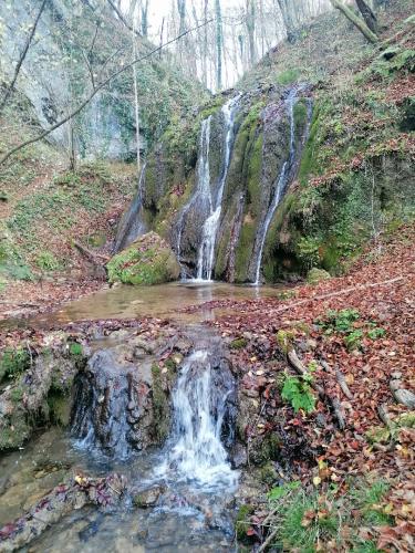 IMG 20251112 0938541