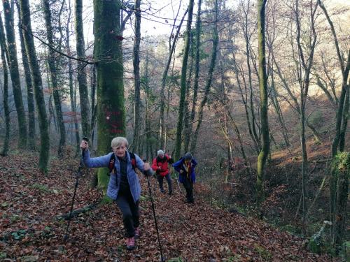 IMG 20251112 0944371