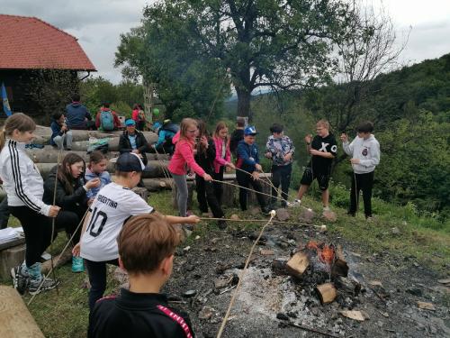 IMG 20250517 1232131
