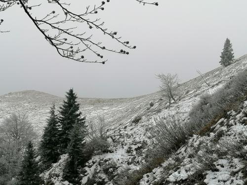 IMG 20251108 0956361
