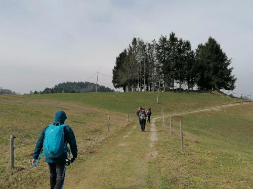 IMG 20250321 1147201