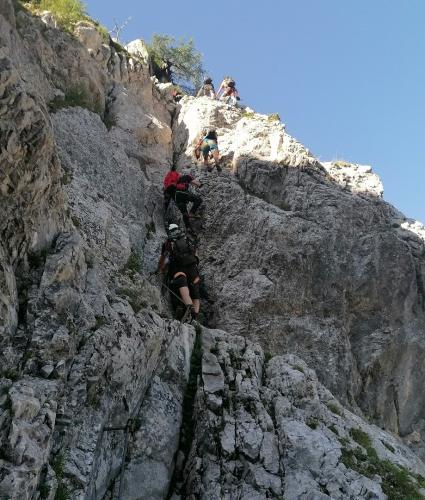 IMG 20250628 0911071