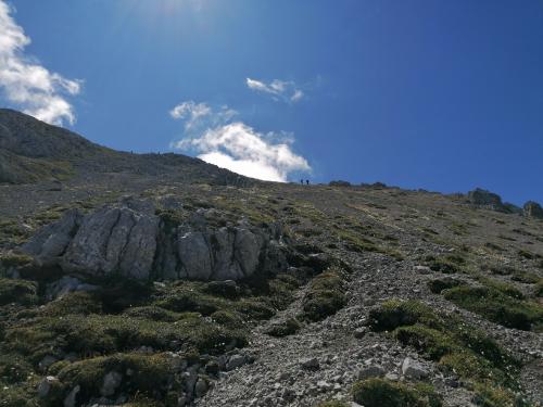 IMG 20250628 1137571