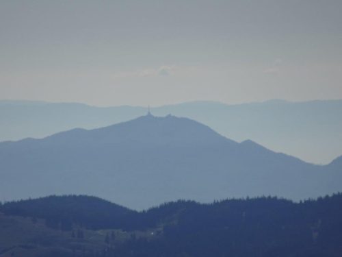 DSC08557