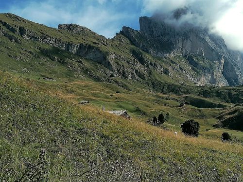 C-Seceda-1