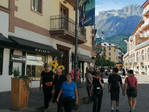 Cortina-24