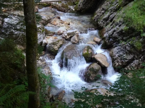 DSC07352