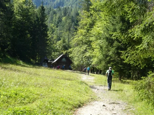 DSC07394