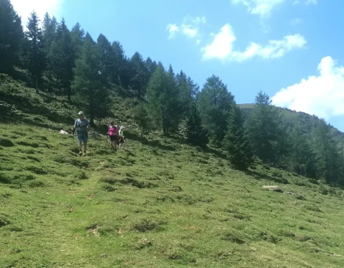 IMG 20260801 123315