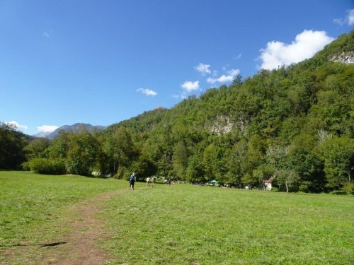 DSC08442