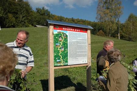 Nežina pot